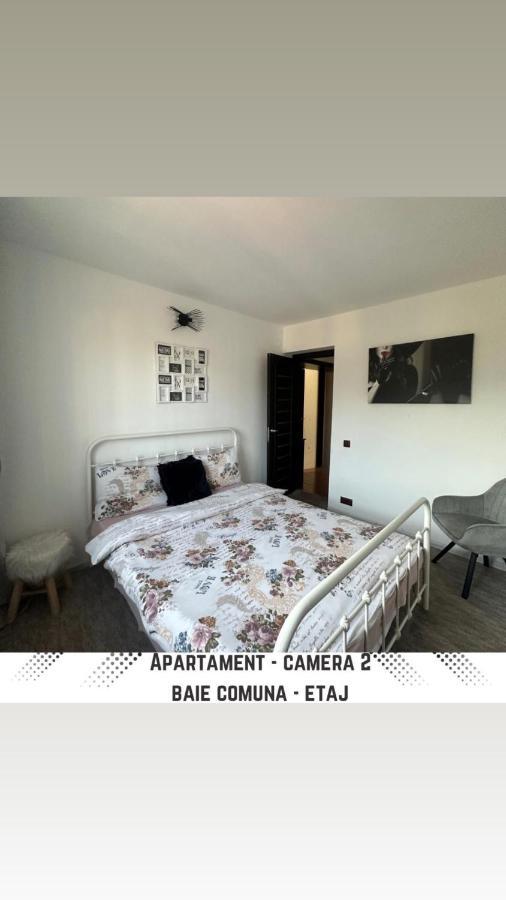 Vila Mik Guesthouse Săcele Exteriér fotografie