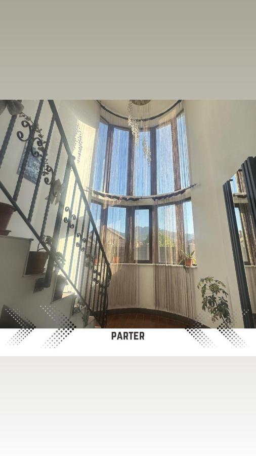 Vila Mik Guesthouse Săcele Exteriér fotografie